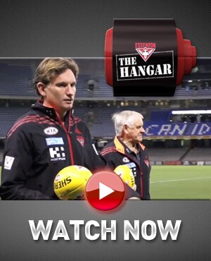 the-hangar-hird.jpg